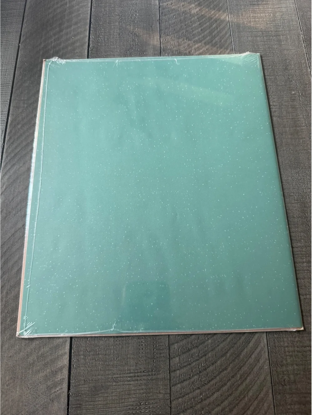 Creative Memories Precious Element Printed Vellum Photo Mounting Paper from 2004